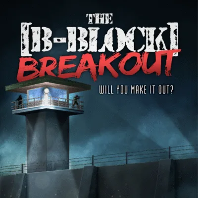 B-Block Breakout VR HAVEN